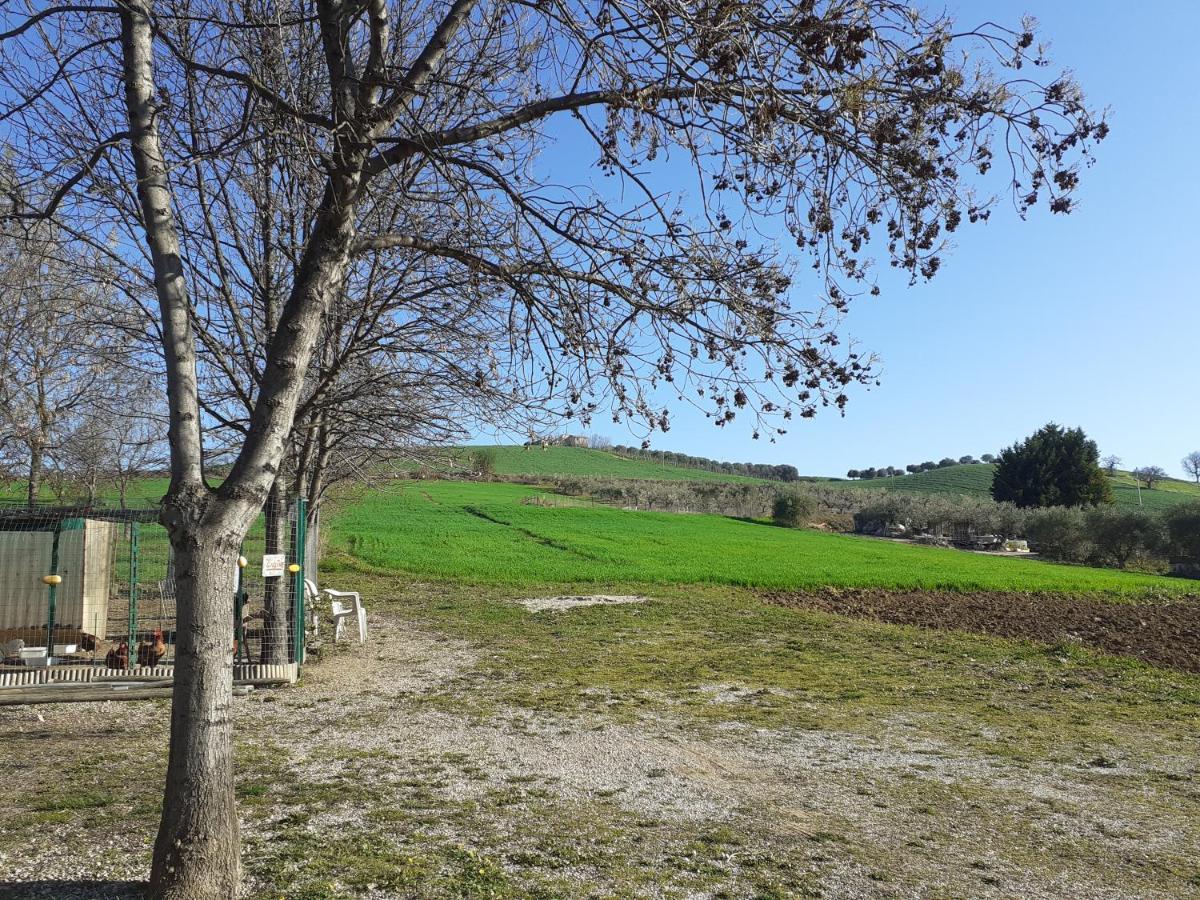 Pier Delle Vigne B&B Pineto Kültér fotó