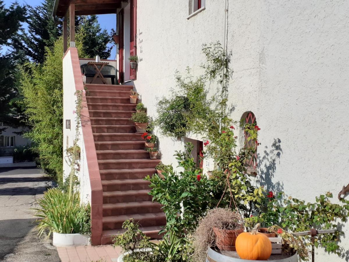 Pier Delle Vigne B&B Pineto Kültér fotó