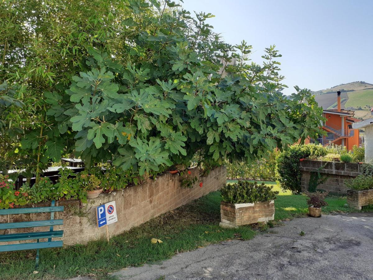 Pier Delle Vigne B&B Pineto Kültér fotó