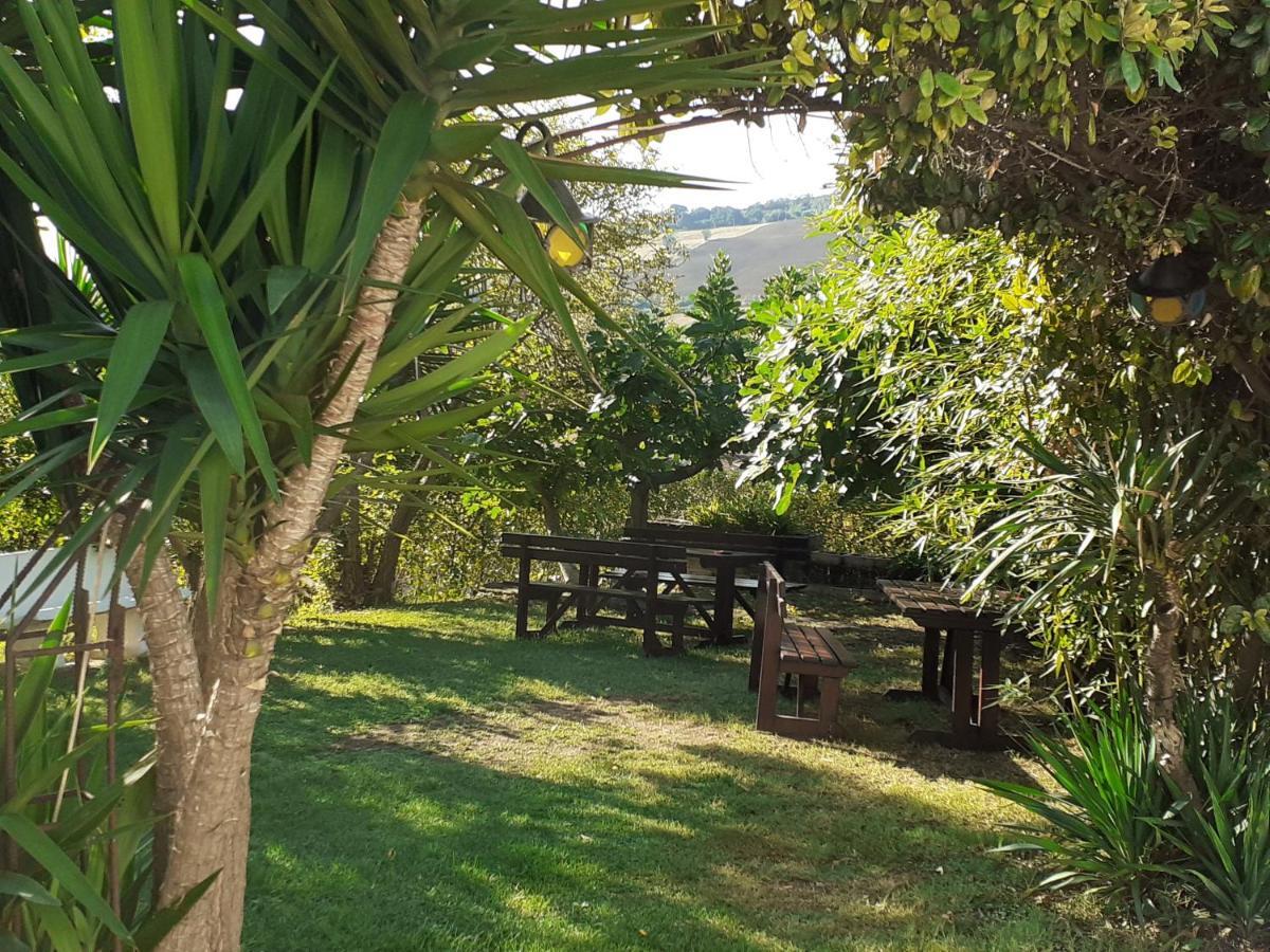 Pier Delle Vigne B&B Pineto Kültér fotó