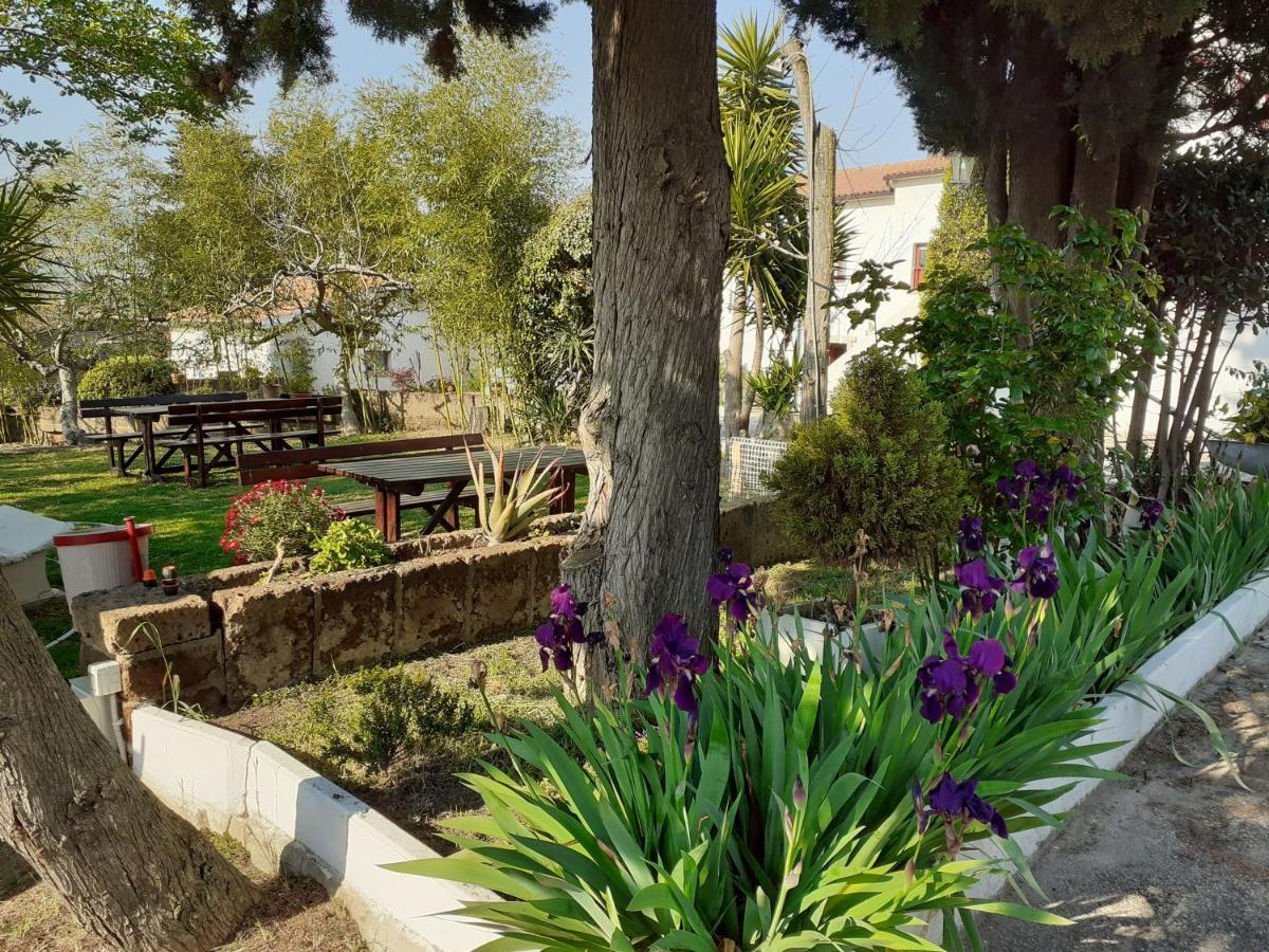 Pier Delle Vigne B&B Pineto Kültér fotó
