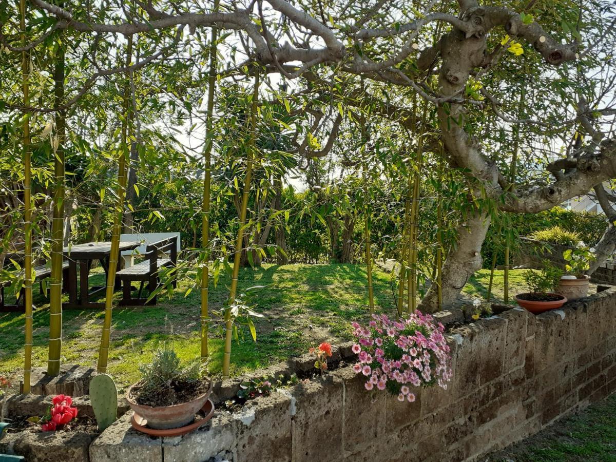 Pier Delle Vigne B&B Pineto Kültér fotó