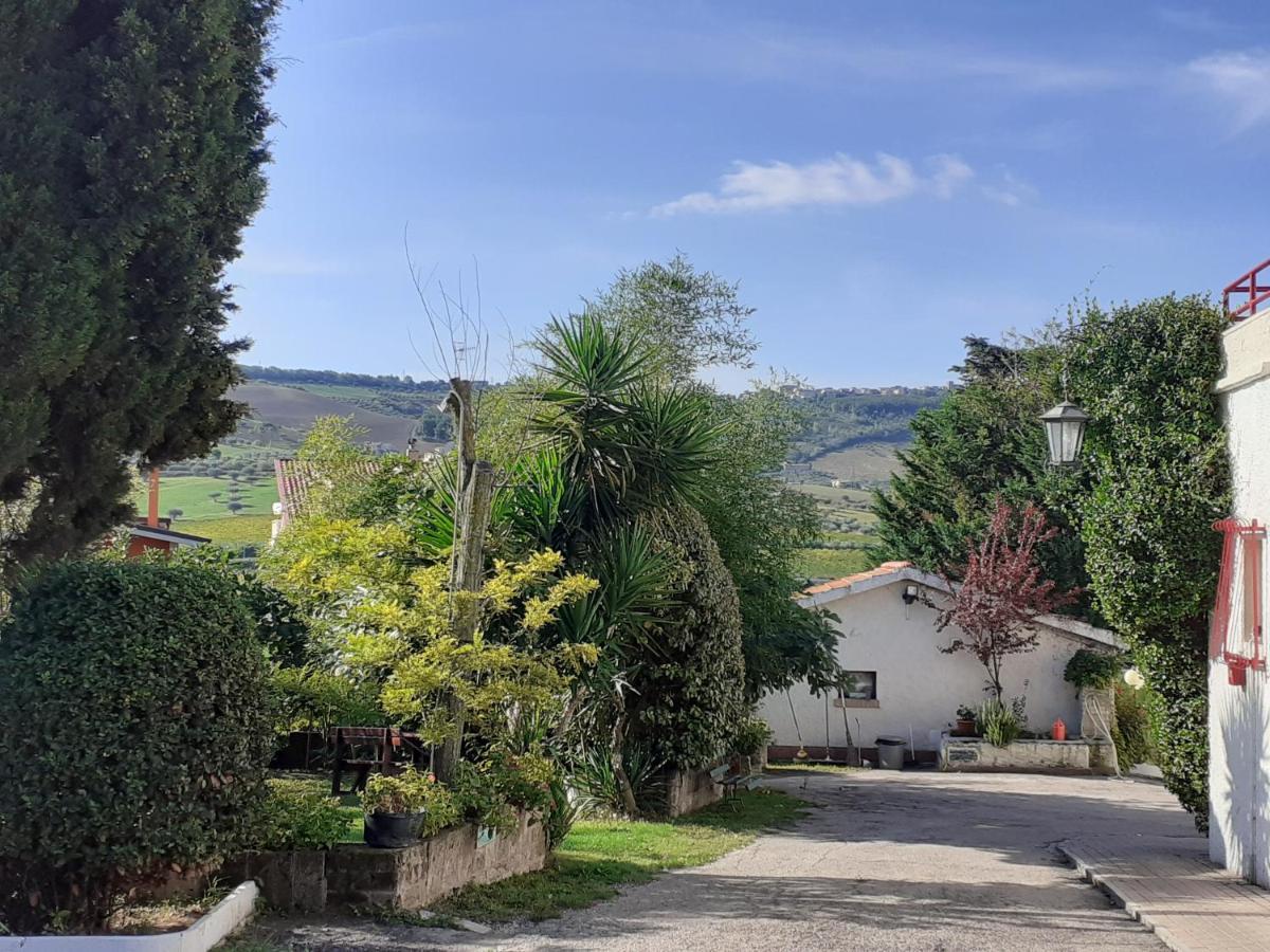 Pier Delle Vigne B&B Pineto Kültér fotó