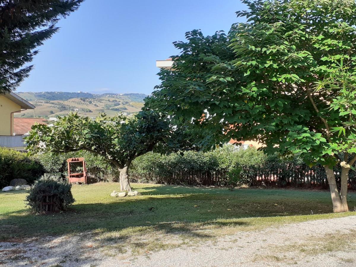 Pier Delle Vigne B&B Pineto Kültér fotó