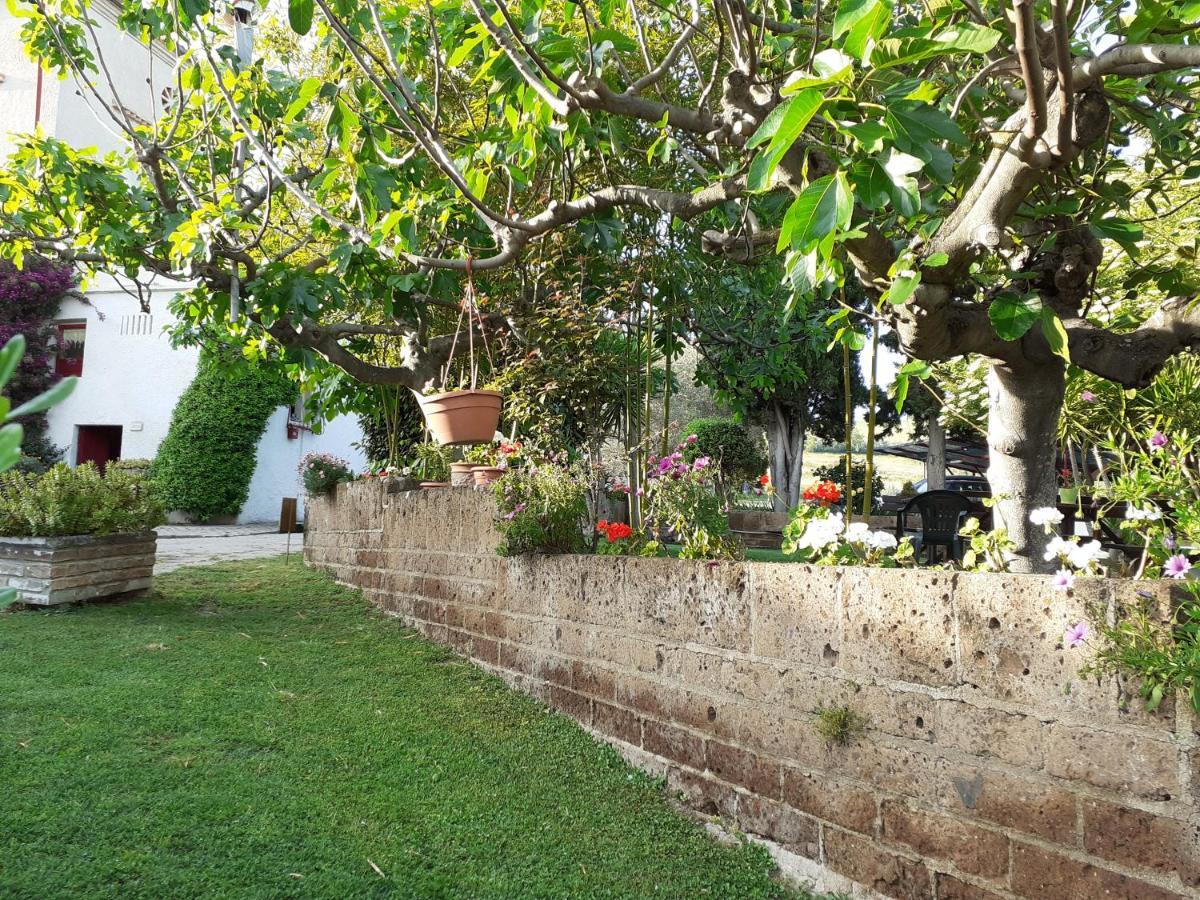 Pier Delle Vigne B&B Pineto Kültér fotó