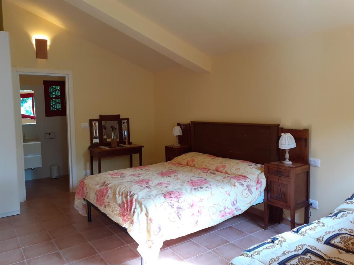Pier Delle Vigne B&B Pineto Kültér fotó