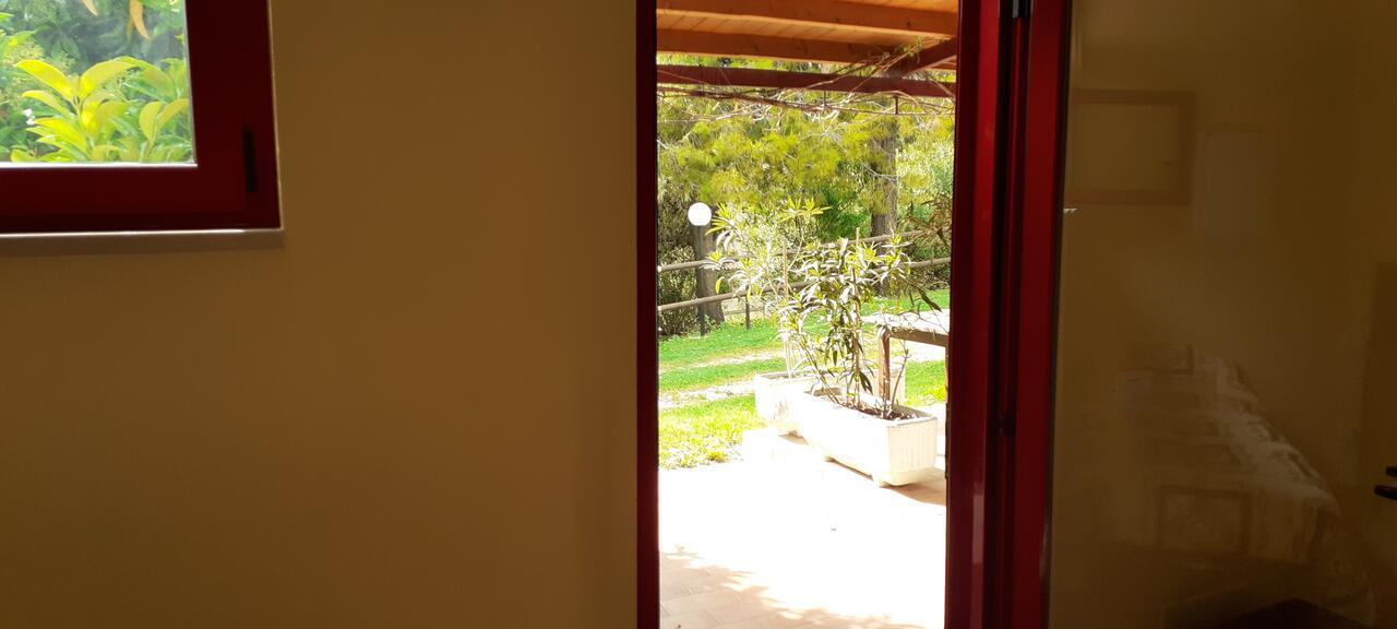 Pier Delle Vigne B&B Pineto Kültér fotó
