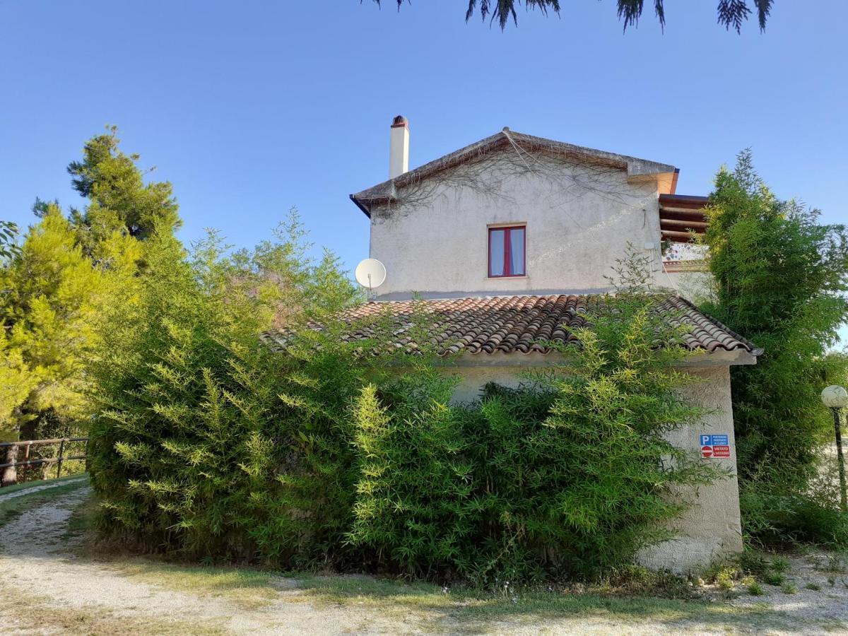 Pier Delle Vigne B&B Pineto Kültér fotó