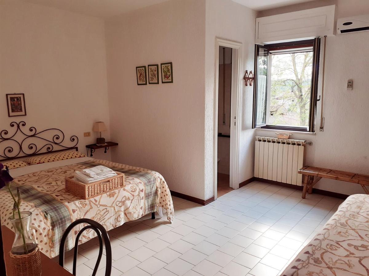 Pier Delle Vigne B&B Pineto Kültér fotó