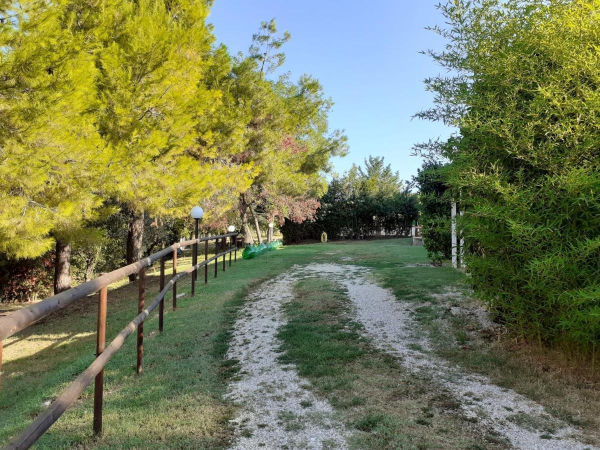 Pier Delle Vigne B&B Pineto Kültér fotó