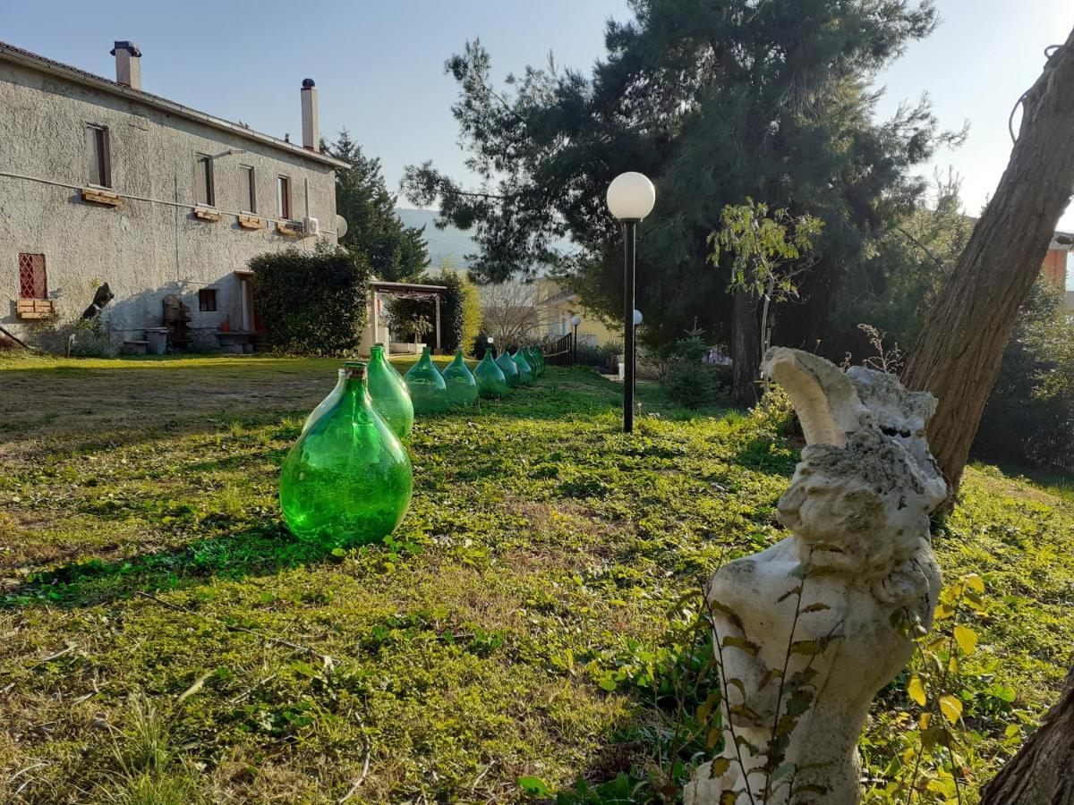 Pier Delle Vigne B&B Pineto Kültér fotó