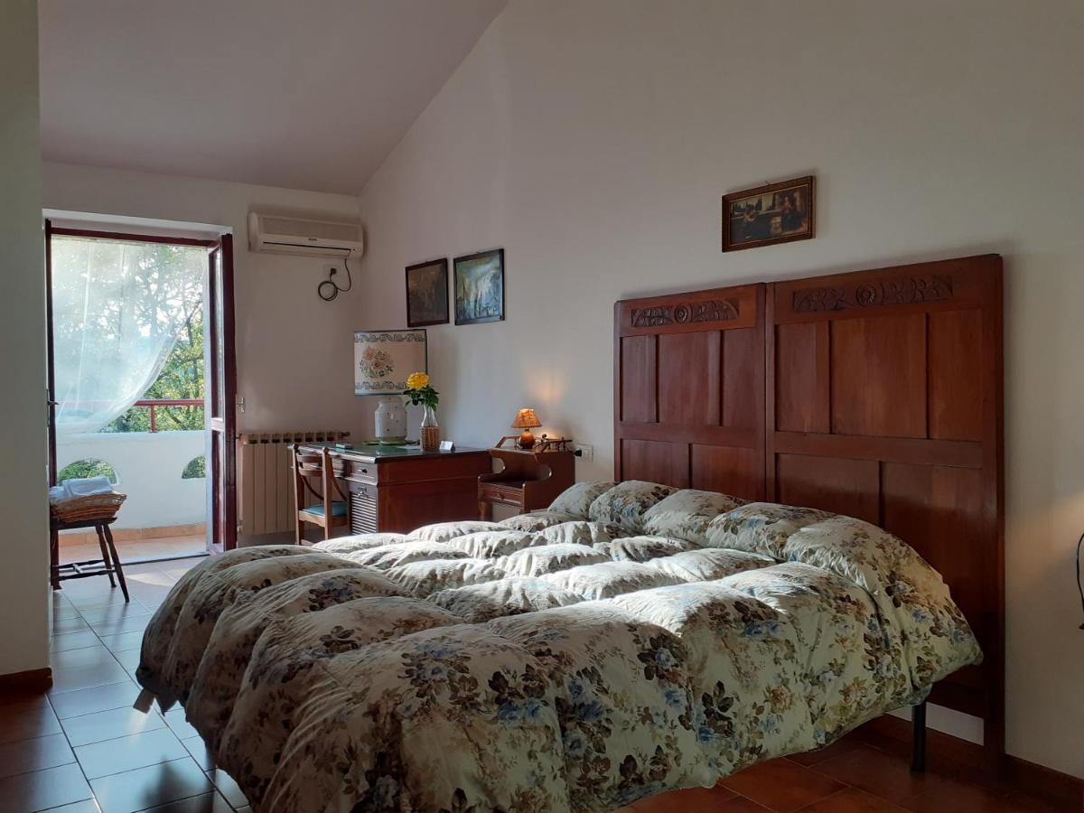 Pier Delle Vigne B&B Pineto Kültér fotó