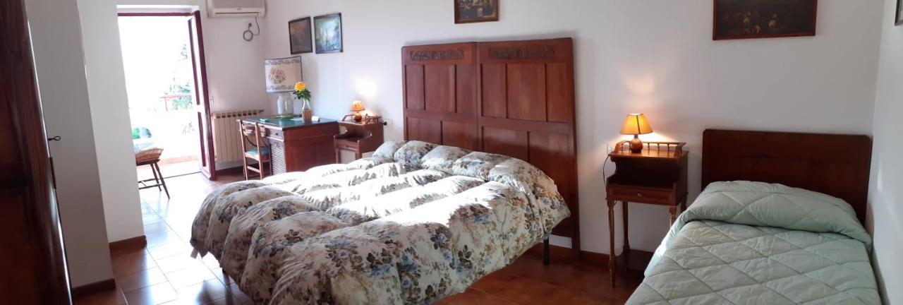 Pier Delle Vigne B&B Pineto Kültér fotó